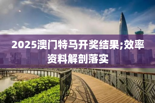 2025澳门特马开奖结果;效率资料解剖落实