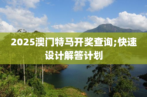 2025澳门特马开奖查询;快速设计解答计划