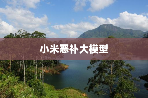 小米恶补大模型