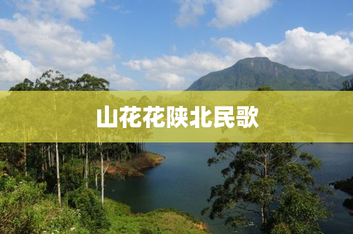 山花花陕北民歌