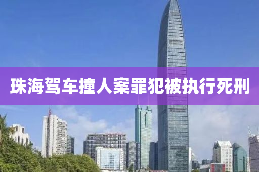珠海驾车撞人案罪犯被执行死刑