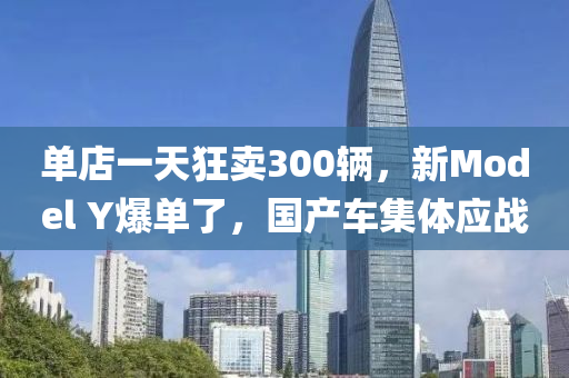 单店一天狂卖300辆，新Model Y爆单了，国产车集体应战