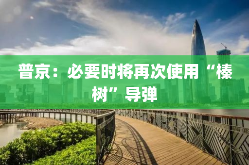 普京：必要时将再次使用“榛树”导弹