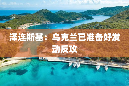泽连斯基：乌克兰已准备好发动反攻