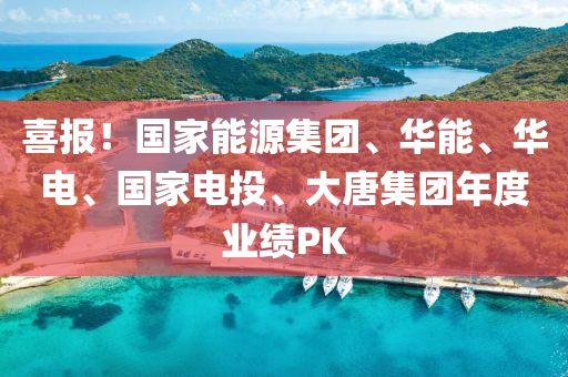 喜报！国家能源集团、华能、华电、国家电投、大唐集团年度业绩PK