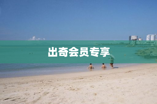 出奇会员专享