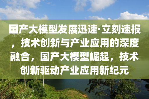 国产大模型发展迅速·立刻速报，技术创新与产业应用的深度融合，国产大模型崛起，技术创新驱动产业应用新纪元