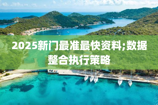 2025新门最准最快资料;数据整合执行策略
