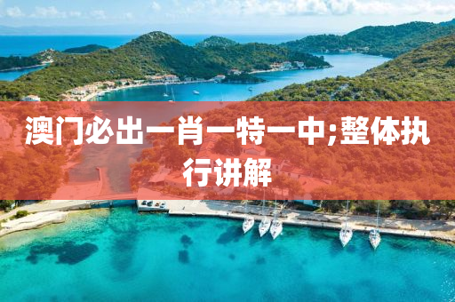 澳门必出一肖一特一中;整体执行讲解