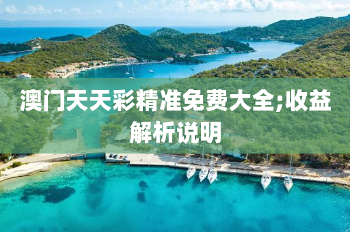 澳门天天彩精准免费大全;收益解析说明