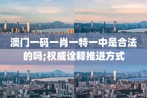 澳门一码一肖一特一中是合法的吗;权威诠释推进方式