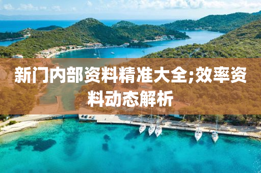 新门内部资料精准大全;效率资料动态解析