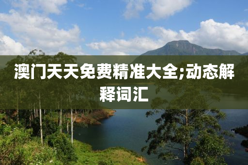 澳门天天免费精准大全;动态解释词汇