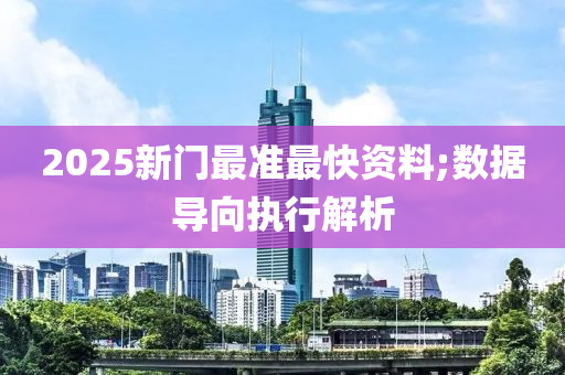 2025新门最准最快资料;数据导向执行解析