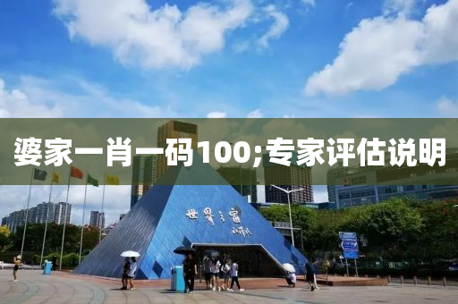 婆家一肖一码100;专家评估说明