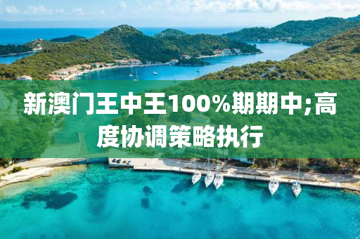 新澳门王中王100%期期中;高度协调策略执行