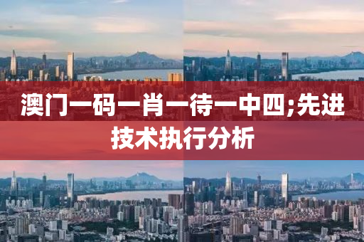 澳门一码一肖一待一中四;先进技术执行分析