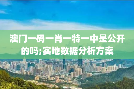 澳门一码一肖一特一中是公开的吗;实地数据分析方案