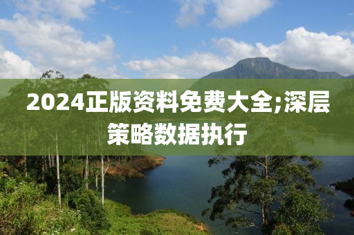 2024正版资料免费大全;深层策略数据执行