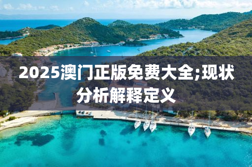 2025澳门正版免费大全;现状分析解释定义