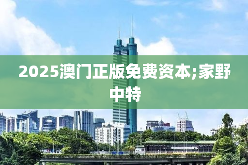 2025澳门正版免费资本;家野中特
