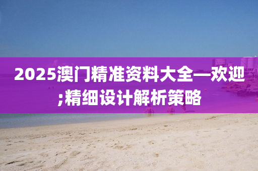 2025澳门精准资料大全—欢迎;精细设计解析策略