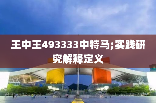 王中王493333中特马;实践研究解释定义