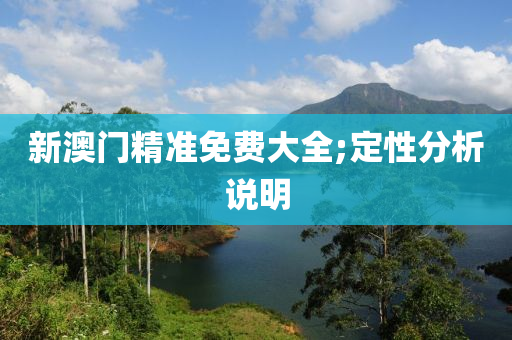 新澳门精准免费大全;定性分析说明