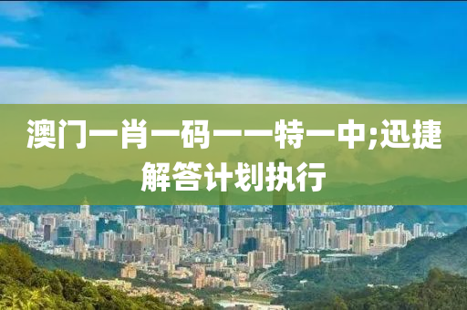澳门一肖一码一一特一中;迅捷解答计划执行
