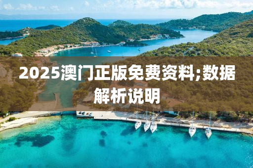 2025澳门正版免费资料;数据解析说明