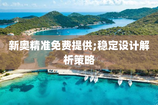 新奥精准免费提供;稳定设计解析策略