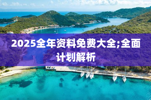 2025全年资料免费大全;全面计划解析