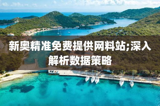 新奥精准免费提供网料站;深入解析数据策略