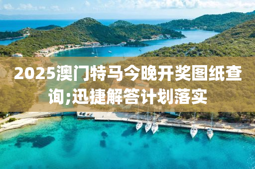 2025澳门特马今晚开奖图纸查询;迅捷解答计划落实