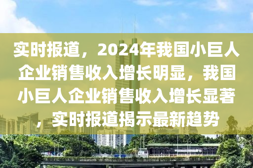 实时报道，2024年我国小巨人企业销售收入增长明显，我国小巨人企业销售收入增长显著，实时报道揭示最新趋势