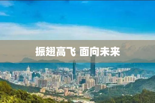 振翅高飞 面向未来