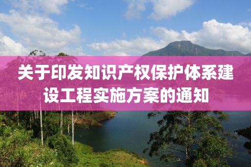 关于印发知识产权保护体系建设工程实施方案的通知