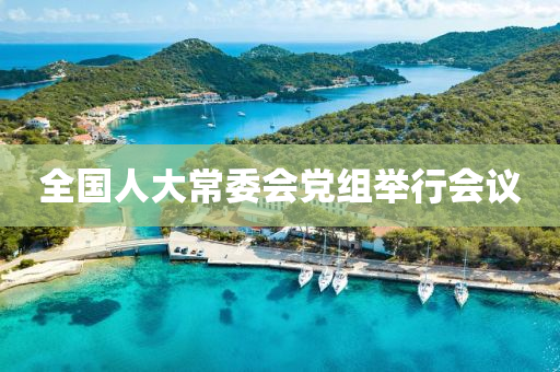 全国人大常委会党组举行会议