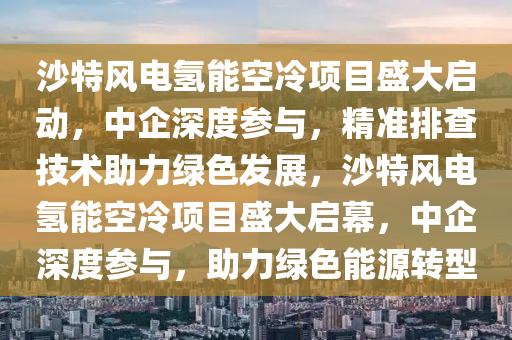 沙特风电氢能空冷项目盛大启动，中企深度参与，精准排查技术助力绿色发展，沙特风电氢能空冷项目盛大启幕，中企深度参与，助力绿色能源转型