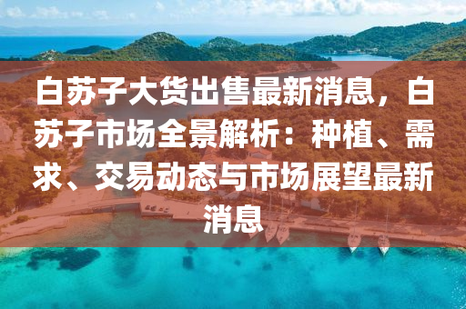 白苏子大货出售最新消息，白苏子市场全景解析：种植、需求、交易动态与市场展望最新消息