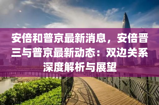 安倍和普京最新消息，安倍晋三与普京最新动态：双边关系深度解析与展望