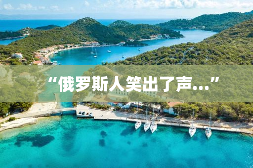 “俄罗斯人笑出了声…”