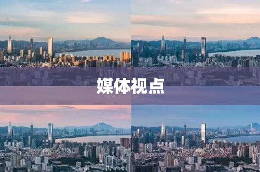 媒体视点