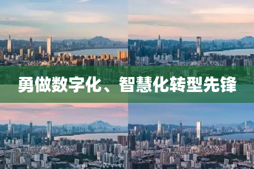 勇做数字化、智慧化转型先锋