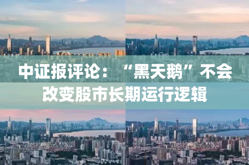 中证报评论：“黑天鹅”不会改变股市长期运行逻辑