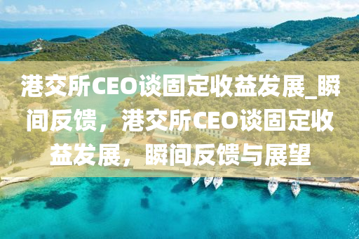 港交所CEO谈固定收益发展_瞬间反馈，港交所CEO谈固定收益发展，瞬间反馈与展望