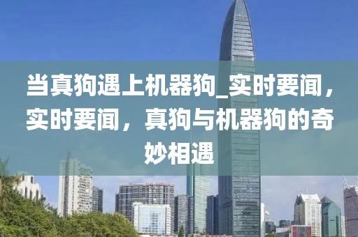 当真狗遇上机器狗_实时要闻，实时要闻，真狗与机器狗的奇妙相遇