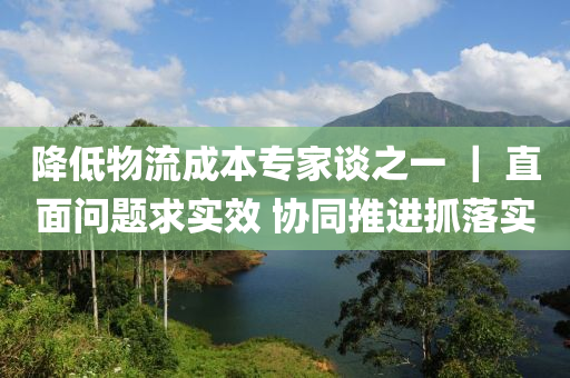降低物流成本专家谈之一 ｜ 直面问题求实效 协同推进抓落实