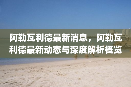 阿勒瓦利德最新消息，阿勒瓦利德最新动态与深度解析概览
