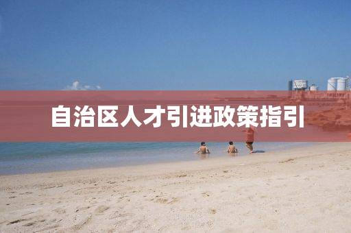 自治区人才引进政策指引